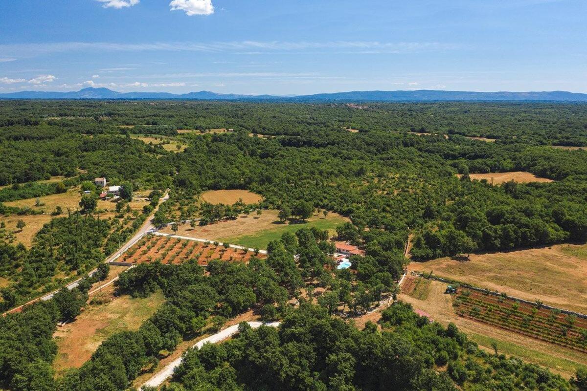 Villa Martinetinka Воднян Экстерьер фото