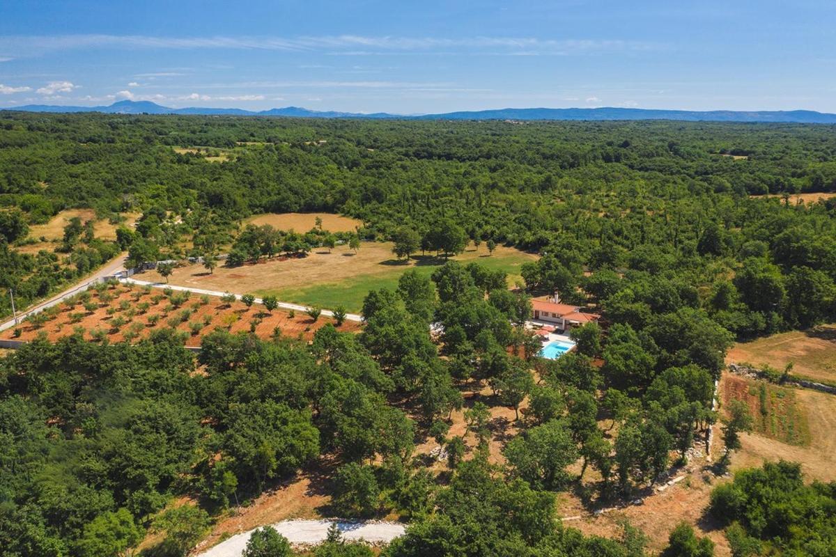 Villa Martinetinka Воднян Экстерьер фото